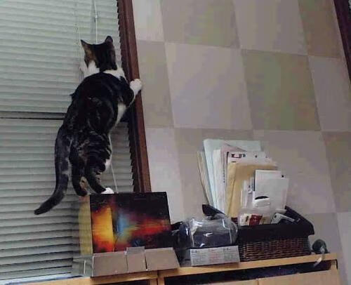 亚洲羽毛球的力量传承，马中鏖战与戴资颖的纪录之夜