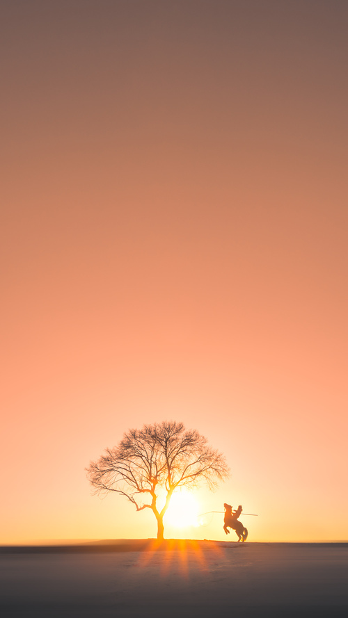 东方的突围与西方的魔术，当浙江绝境重生，马克西于抢七夜加冕