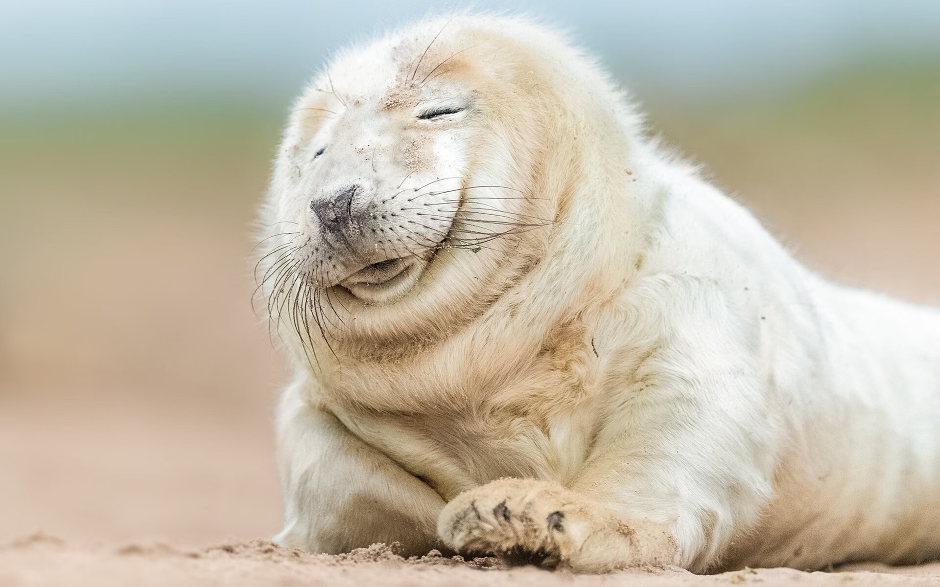 楚阿梅尼打出统治级数据背后，西班牙是如何终结墨西哥不败神话的？