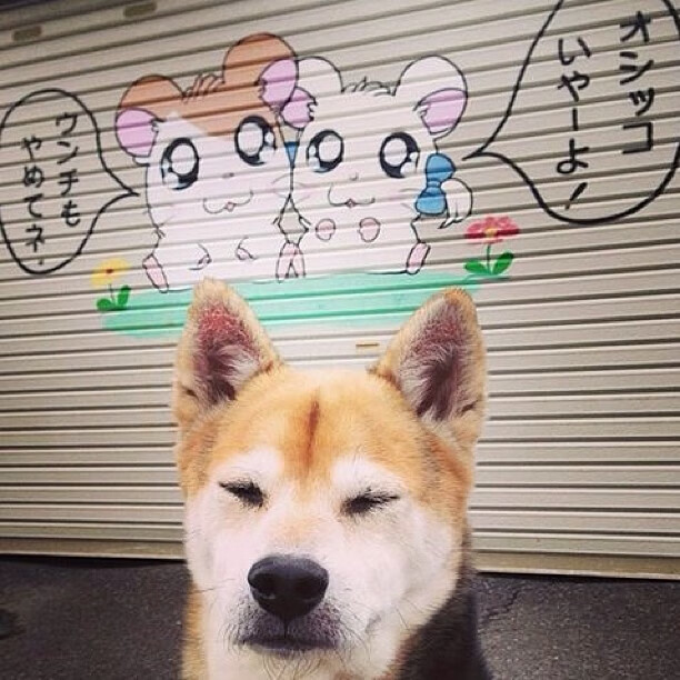 意甲焦点战,那柄名为卢卡库的利剑