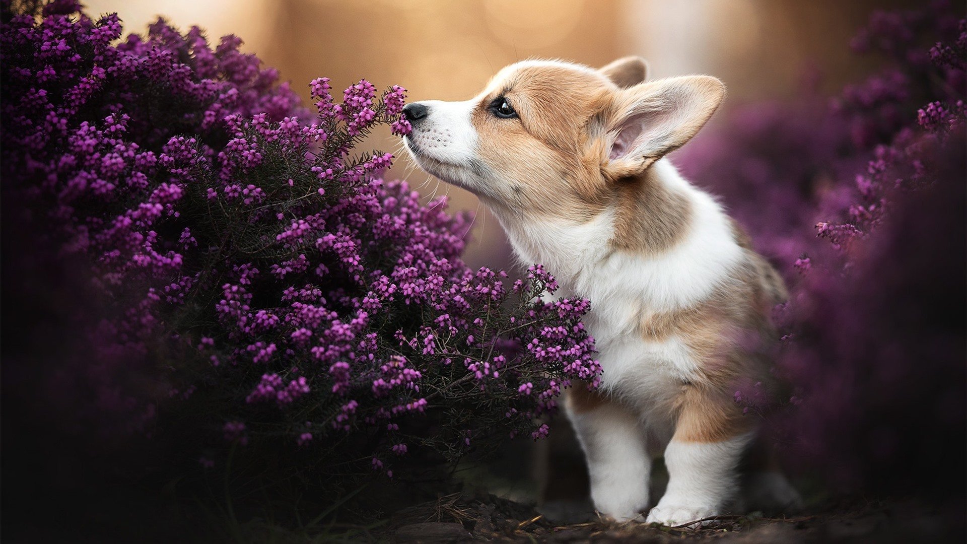 个人才华VS集体革命，李刚仁成为胜负手，摩洛哥末节带走牙买加