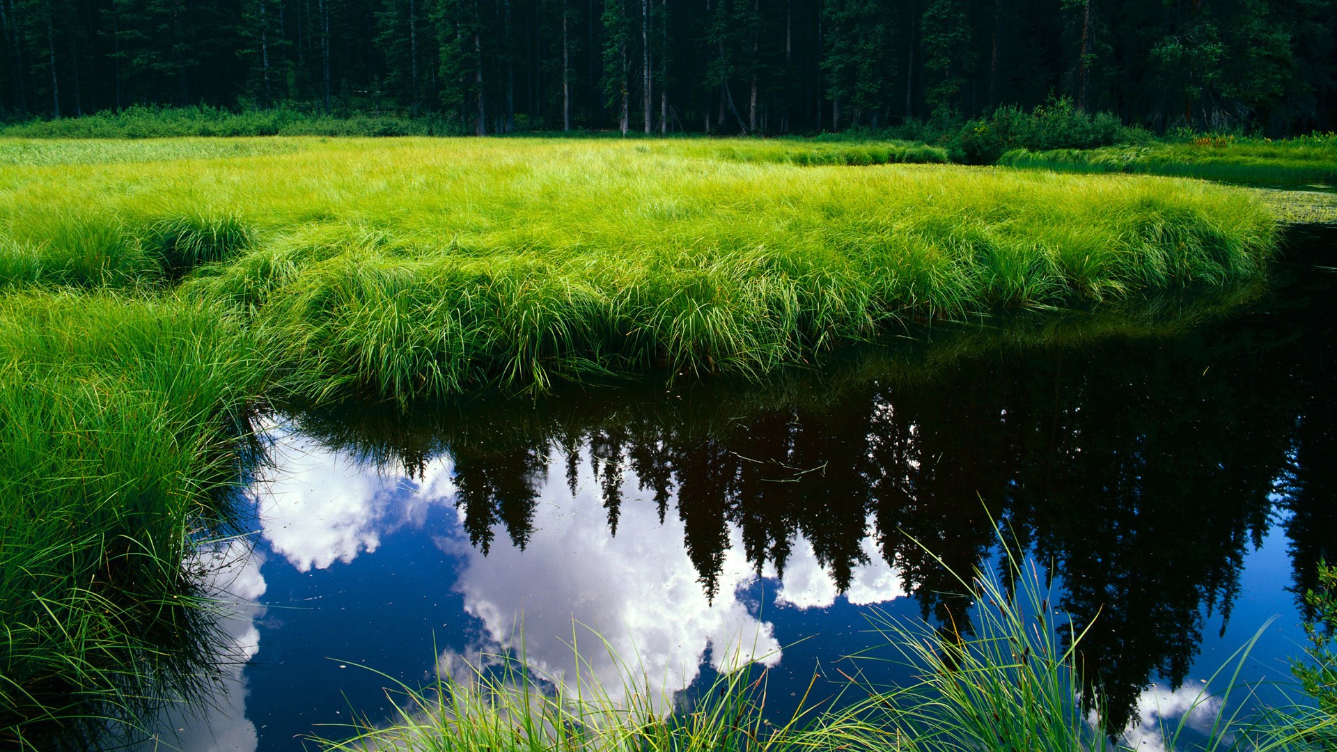 唯一战场，跨越地理宿命的对决，努涅斯在高原与古典的缝隙中证明自己