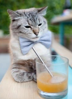 北伦敦铁幕刺破南大王王冠,萨卡一剑封喉书写新王传说