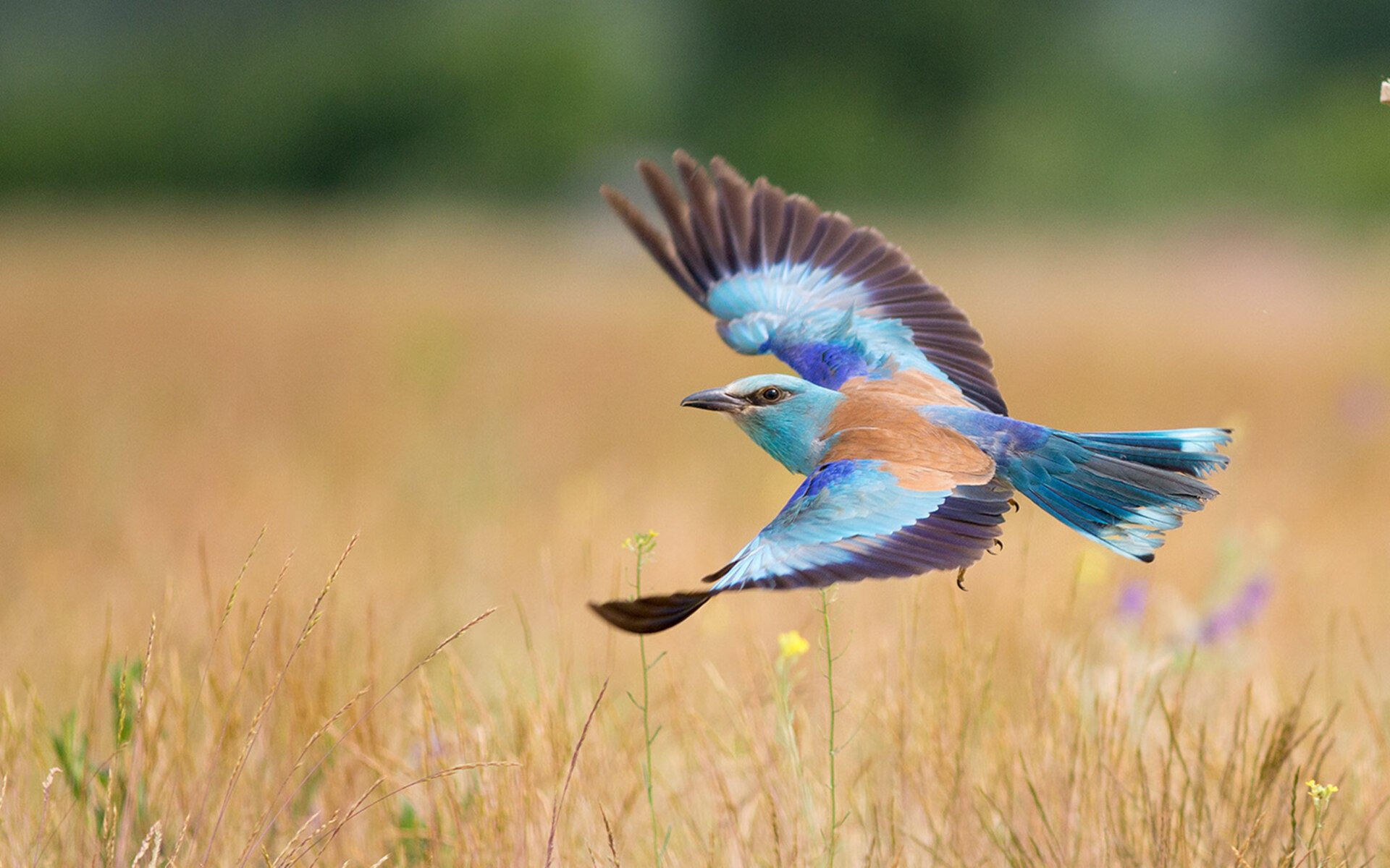 谜题与冒险，当比利亚雷亚尔在牙买加雷鬼节奏中遇见关键先生巴雷拉