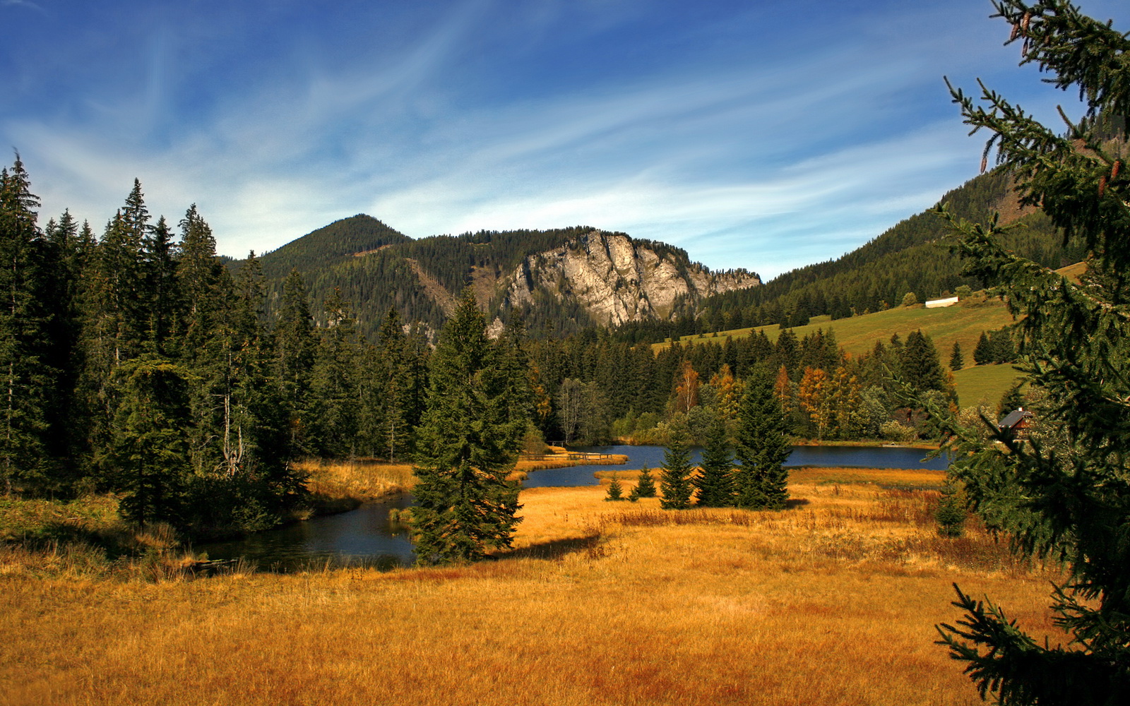 稳如磐石与风云一击,当掘金的团队哲学遇见克莱的佛光时刻