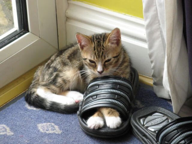 跨域统治，从步行者的得分洪流到英格拉姆的意甲魔术—体育中连续接管比赛的永恒艺术