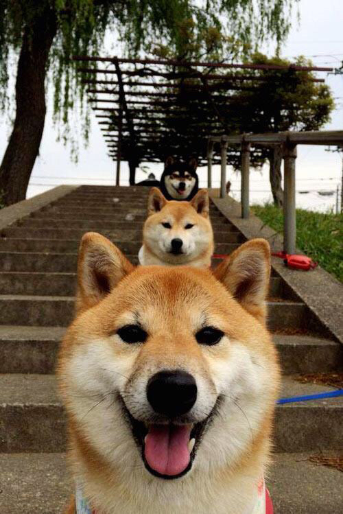 孤星闪耀与群蜂突围，伦纳德44分扛起黄蜂关键战险胜山西