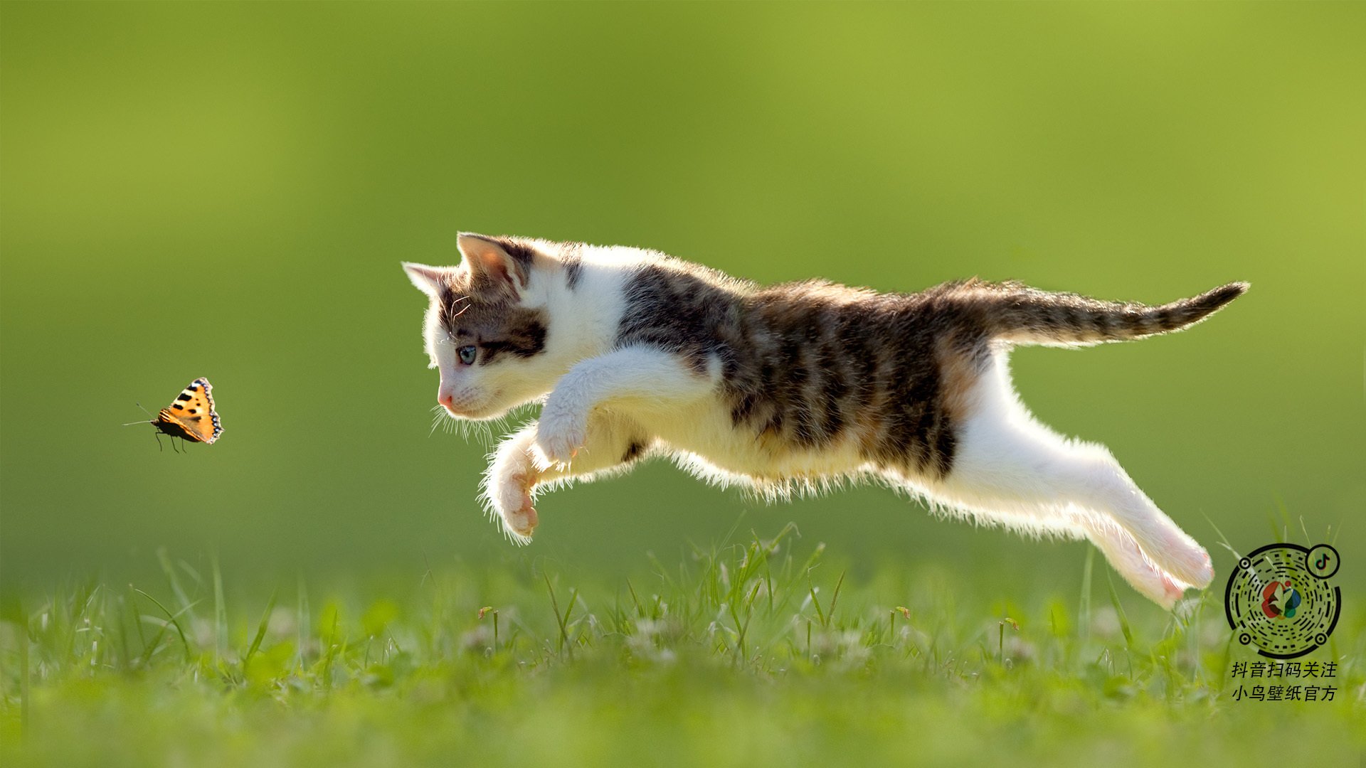 冰与火的交响，佩德里的冷静爆发与葡萄牙的热血绝杀