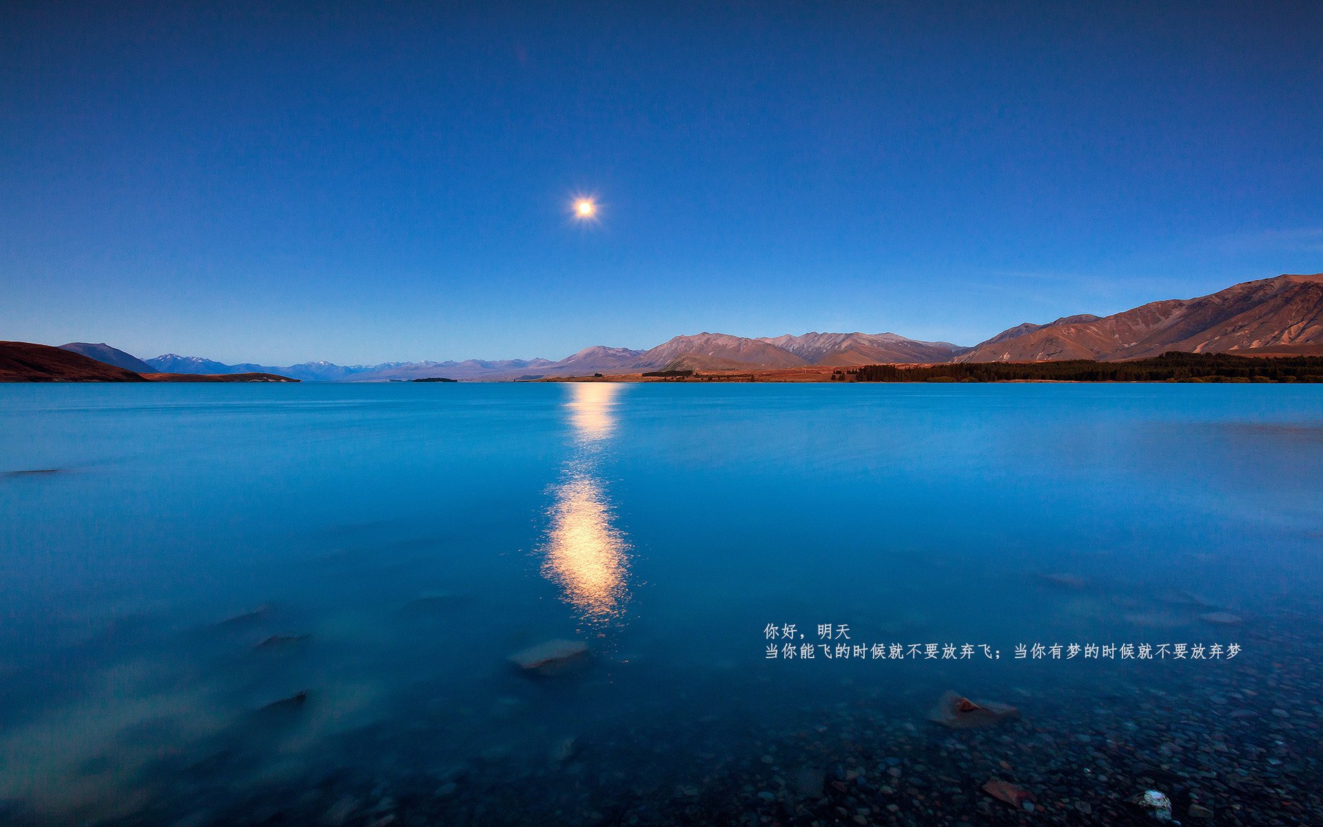 风车的叹息与袋鼠的困惑，皮克如何在墨尔本让悬念提前退场