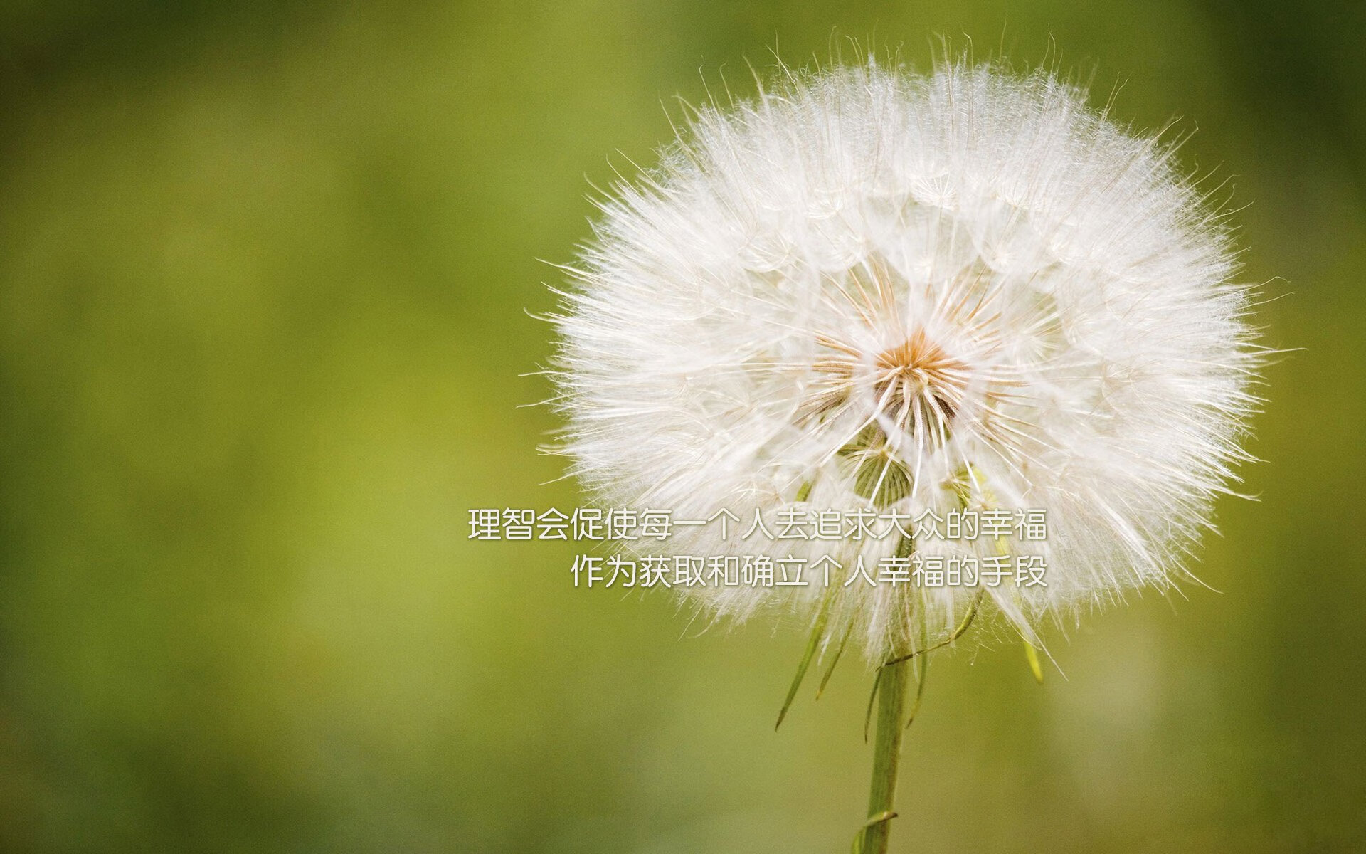 当亚马逊战吼遭遇非洲雄鹰，哈兰德，那个在2026世界杯八分之一决赛中改写唯一法则的北欧冰锋