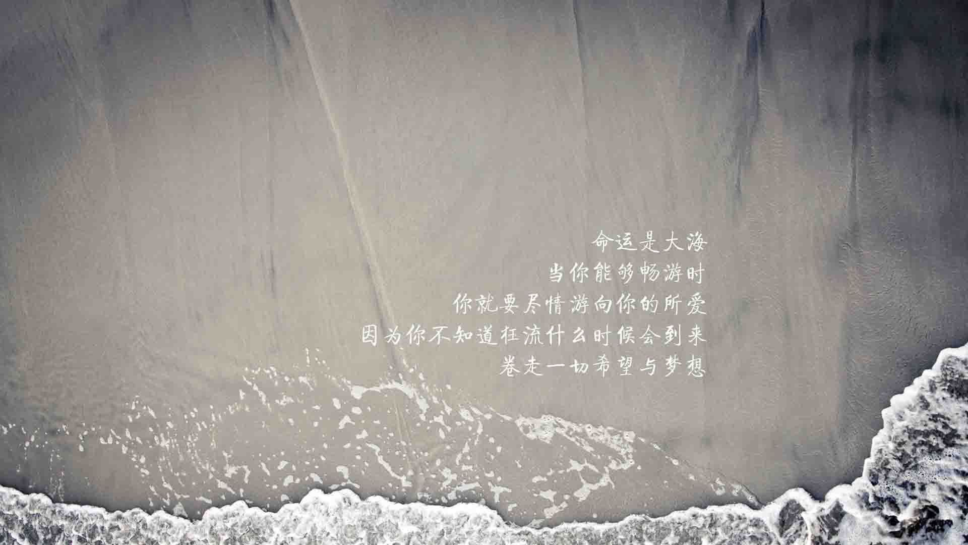 光芒独耀—当法国在世界杯的殿堂中,为费利克斯加冕